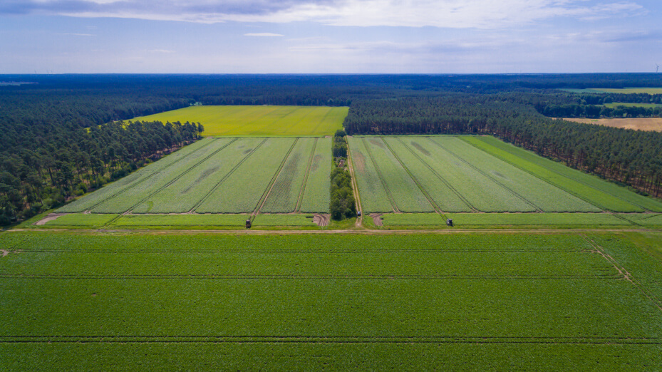 Luftbild vom Feld mit markirung