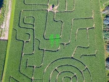 Luftaufnahmen / Luftbilder Maislabyrinth in Sprakensehl
