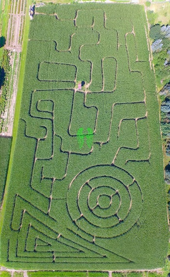 Luftaufnahmen / Luftbilder Maislabyrinth in Sprakensehl